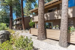 Photo #1: 1001094 Listing 