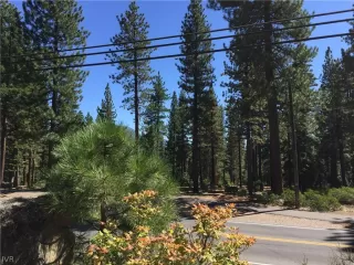 Photo #6: 1001094 Listing 