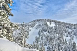 Photo #3: 1001225 Listing