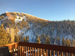 Photo #1: 1001231 Listing