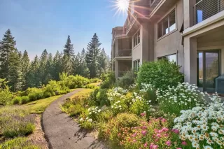 Photo #2: 1002681 Listing 