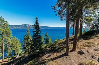 Photo #2: 1002821 Listing 