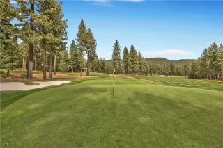 Photo #1: 1004559 Listing 