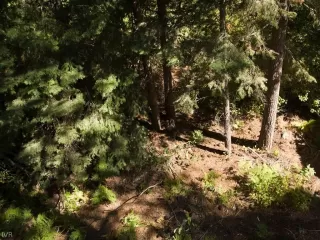 Photo #6: 1004573 Listing 