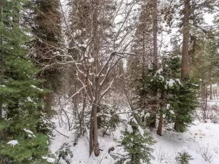 Photo #4: 1004697 Listing