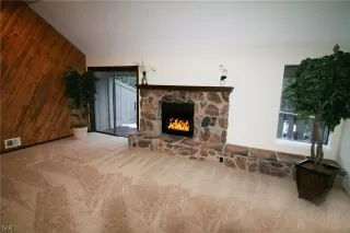 Photo #2: 1004719 Listing 