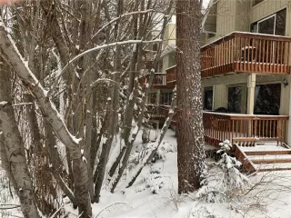 Photo #5: 1004738 Listing