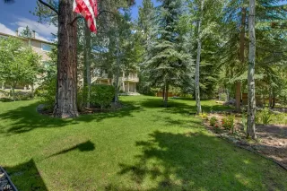 Photo #3: 1004848 Listing 