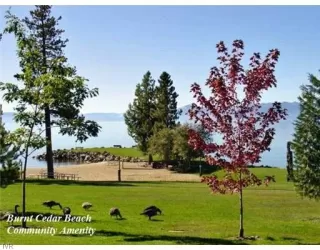 Photo #6: 1004935 Listing