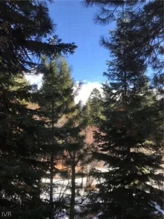 Photo #2: 1006480 Listing 