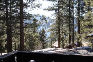Photo #6: 1006524 Listing 
