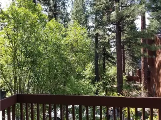 Photo #6: 1006740 Listing 