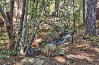 Photo #1: 1006787 Listing