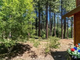 Photo #1: 1006809 Listing