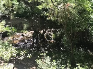 Photo #3: 1006919 Listing