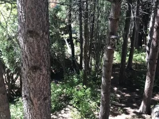 Photo #4: 1006919 Listing