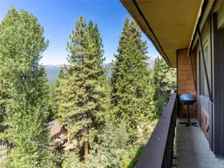 Photo #1: 1008033 Listing 