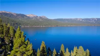 Photo #1: 1008184 Listing