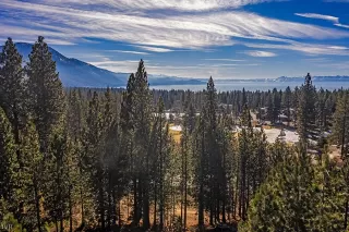 Photo #2: 1008321 Listing 