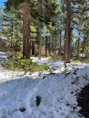 Photo #1: 1008356 Listing 