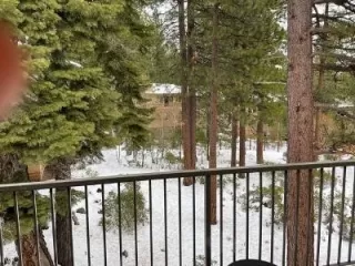 Photo #3: 1008356 Listing 