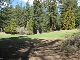 Photo #1: 1008405 Listing 
