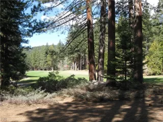 Photo #2: 1008405 Listing 