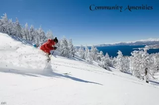 Photo #5: 1008485 Listing