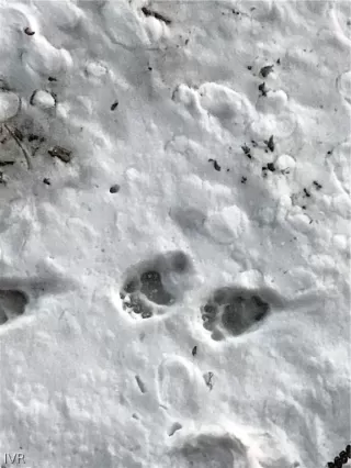 Photo #3: 1009738 Listing