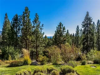 Photo #2: 1009866 Listing 