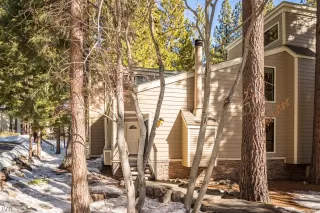 Photo #1: 1010057 Listing 