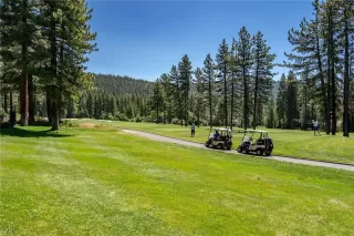 Photo #5: 1012431 Listing 