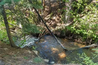 Photo #3: 1015327 Listing 