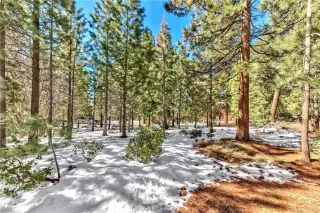 Photo #3: 1015336 Listing