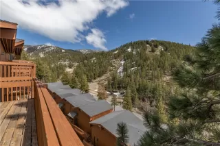 Photo #1: 1015476 Listing