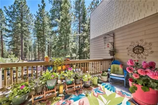 Photo #6: 1015568 Listing