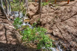 Photo #1: 1018234 Listing 