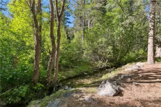 Photo #1: 1018441 Listing