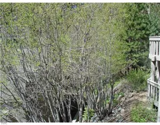 Photo #5: 940529 Listing 