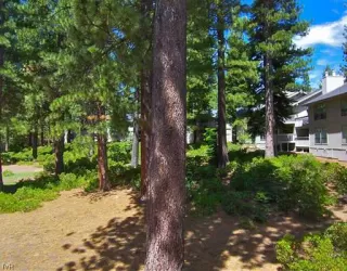 Photo #6: 940581 Listing