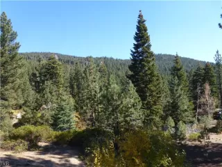 Photo #4: 941558 Listing