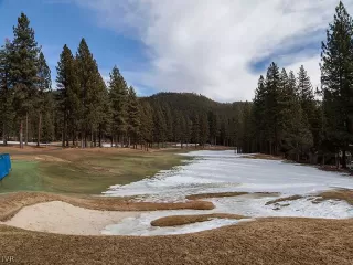 Photo #3: 941651 Listing 