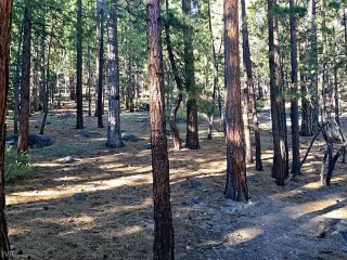 Photo #2: 942281 Listing