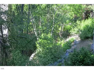 Photo #5: 942718 Listing 