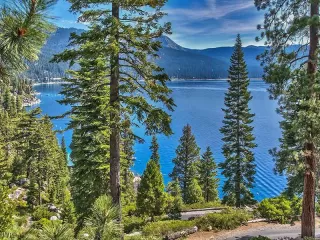 Photo #1: 942829 Listing 