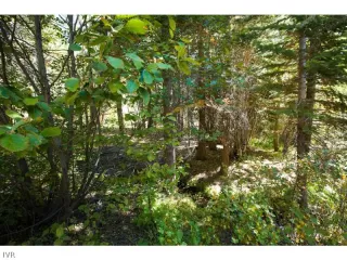 Photo #6: 942979 Listing 
