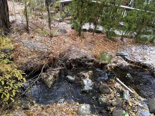 Photo #2: 943022 Listing