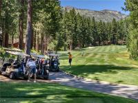 Browse active condo listings in VILLAGE GREEN